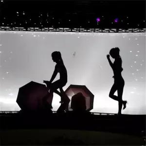 공연 스크린 대형 연극용 배경천 무대 흰색 그림자 인형극 백드롭 세로형