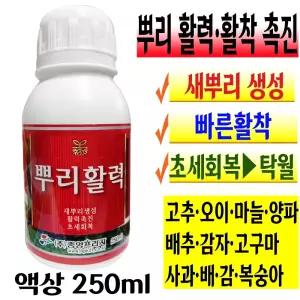 뿌리 활력제 활착 발근 촉진 치료 회복 영양제 삽목 저온 장마 연작 텃밭 거름 배추 모종 복합비료 액비 파