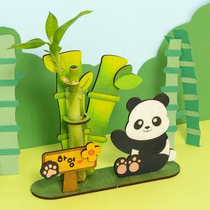 [민화샵] 개운죽 만들기 천연가습 수경 재배 식물 행운목 키우기 세트