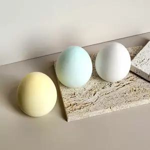 레노포프 에그 규조토 제습 탈취제 냉장고 실내 방향제 냄새먹는 달걀 