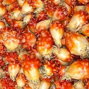 국내산 통멍게 3kg