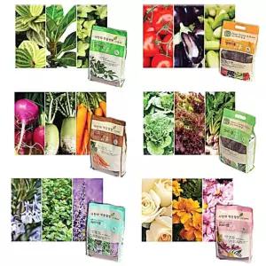 관엽 뿌리 5L 배양토 화초 엽채식물 관엽식물흙 31W7C81983