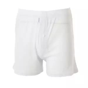 [롯데백화점]비너스 남성 부드럽고 시원한 아사코튼 니트 트렁크팬티 [VMP4206N]