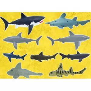 욕조 물놀이 바다 탐사선 상어 SET 모형완구 아이 피규어 아들