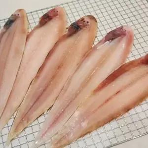 [장보리]반건조 박대 5미 (30cm 내외)