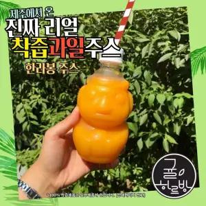 귤하르방 비가열 NFC착즙 제주 한라봉감귤 착즙주스 10병 10개 320ml 간식 생일 어린이날 방과후 만들기 생
