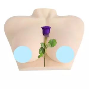 모유 모형 실리콘 유방 실습용 수유 마사지 교육 간호학과 의료진 연습