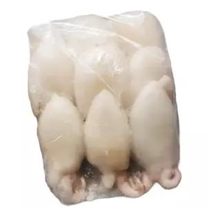클린오션 갑오징어 200g 30개 업소용 냉동 해산물 볶음재료