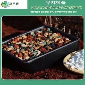 메종드라종 난석 화분자갈 동양란 분갈이 돌 분재 다육이 0.5kg 2.5kg 5kg