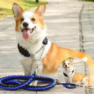 [반려] 쇠목줄 블루블랙 강아지쇠목줄 1.3m 로프 목줄+리드줄 두께 3cm 대형견 대형견목줄리드줄세트