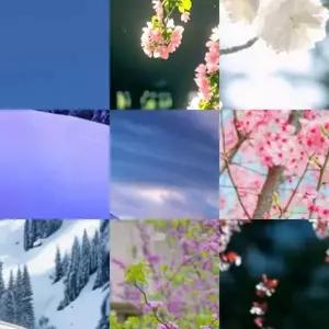 무선 컨트롤러가 있는 2인용 댄스 매트 게임 무브먼트 감지 기능이 있는 뮤지컬 댄스 매트 및 를 100곡의