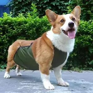 [반려] 우비 배가리개 배보호 강아지 방수 산책 비옷 커버 흙튐방지