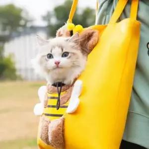 [반려] 3색 강아지 이동 에코백 고양이 어깨 외출 이동용 산책용 가방 얼굴 가방 1개 구멍 소형견