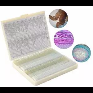 준비된 현미경 슬라이드 식물 동물 표본 샘플 섹션 학생 실험실용 생물 영구 슬라이스 100PC