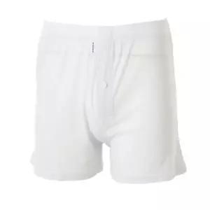 [롯데백화점]비너스 (남성속옷)아사코튼 니트트렁크 2종VMP4206NSET