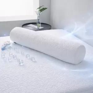 [신세계라이브쇼핑]샤르르 썸머쿨 3D 메쉬 냉감 바디필로우 2컬러