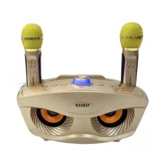 블루투스 노래방기계 무선 마이크 스피커 캠핑용 휴대용 듀얼 충전식 고출력