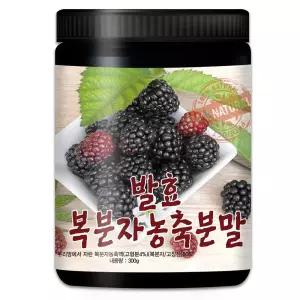 발효 복분자 농축분말 300gx1통 가루 건조 건분말 부모님선물 국산
