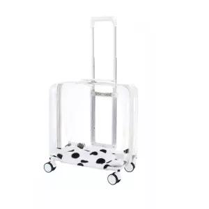 투명 캐리어 강아지 고양이 소형 이동장 백팩 트롤리 여행 반려동물