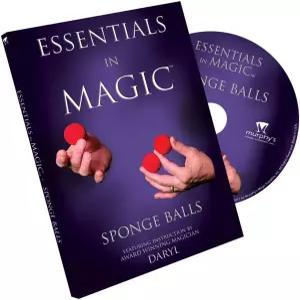 매직 스펀지 볼의 필수품 DVD