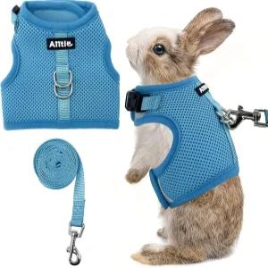 AIITLE 조절 가능한 토끼 및 목줄 세트 - 가볍고 휴대하기 쉬우며 매직 테이프 디자인의 패딩 조끼 실내/외