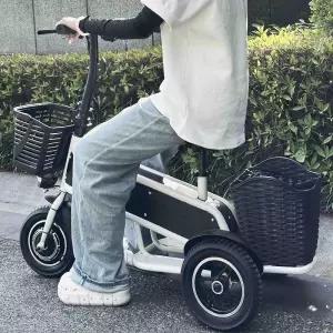 접이식 3륜 전기 스쿠터 숙녀 노인 성인 가정용 배터리 자동차