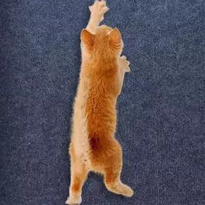 고양이 접착식 매트 카펫 스크래쳐 캣타워 코너벽타냥