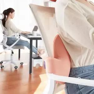 허리쿠션 베르 바른자세 등받이 쿠션 사무실 등받이