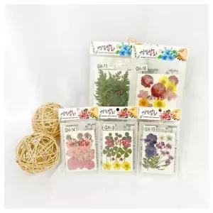 창의교구- 압화누름꽃 모음전