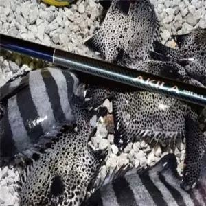 [알티피아]원투 낚시대 서프 원투대 피싱 민물 낚시대 4.25m 에기바늘