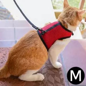 은플 퍼프라스트 조깅 고양이하네스 하네스 하네스 레