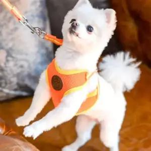 강아지 에어매쉬 하네스 리드줄 세트 오렌지 S 산책 애견산책줄