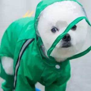 [반려] 반려견 애견의류 우비 우의 레인코트 실내복 강아지 옷 ST0261공룡