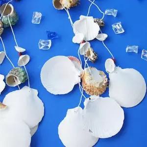 [골드스마일]오션비치 조개발 겸 조개모빌 중 (랜덤컬러)