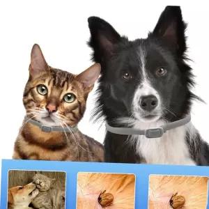 강아지 진드기 퇴치 목걸이 강아지 모기퇴치 65cm