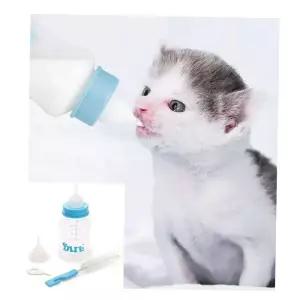 애완동물 젖병 세트 강아지 고양이 반려동물 150ml