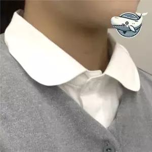 세련된 라운드카라 코튼 셔츠 화이트 스타일리시 페이크카라 넥케이프 페이크셔츠 목셔츠