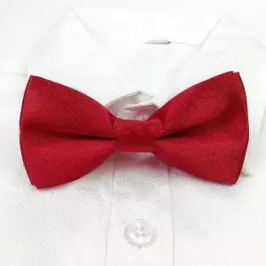 나비 넥타이 10개 연주회 행사 파티 리본 보타이 남자보타이 남자나비넥타이 나비타이