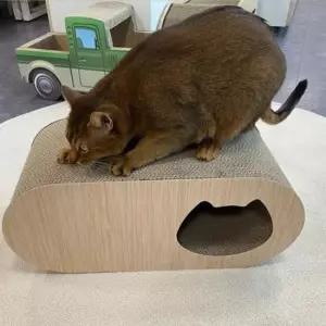 [반려] 스크레쳐 골판지 스크레쳐 고양이 숨숨집 튜브 토드캣