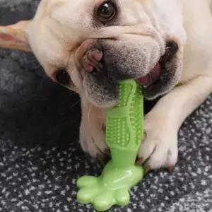 [반려] 셀프 강아지 치솔 애견 강아지 칫솔 치아 구강