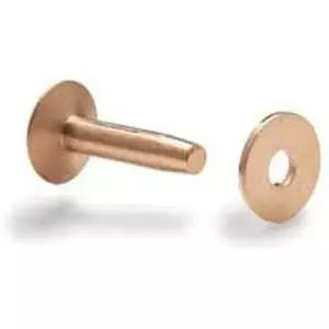 탠디 가죽의 버 리벳