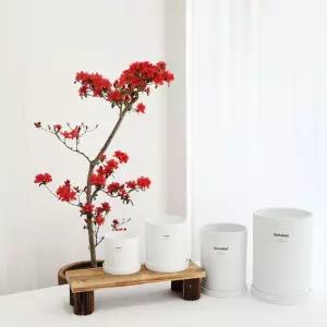 고강도 플라스틱 무광 실린더 화분 18x25cm인테리어 깔끔한 거실 개업축하 식물키우기 반려 심플한 취미 가