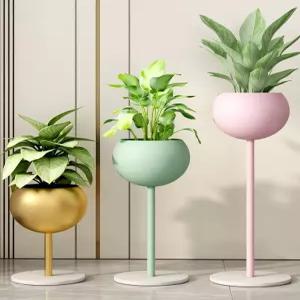 거실 식물 화분 실내화초 키우기 집들이선물 중형 개업축하 축하배달 인테리어