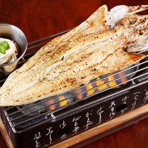 31건어물 짝태 (반건조 먹태) 특대 10미