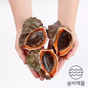 숨비해물 거제도 해녀 자연산 참소라1kg(3~6미내외)