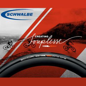 슈발베 프로원 로드 자전거 타이어 튜블리스