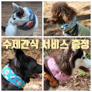 강아지 쿨 스카프 케이프 고양이 애견 쿨링 목도리