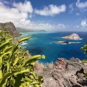 [실속][KE/OZ][와이키키리조트(일급)+쉐라톤와이키키(특급)] 합리적인 여행하와이 6/7/8일 [관광+자유]