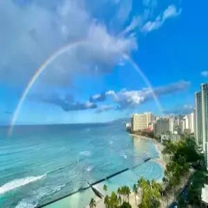 [실속][KE/OZ/YP][와이키키 리조트] 가성비 BEST하와이 6/7/8일 [관광+자유]