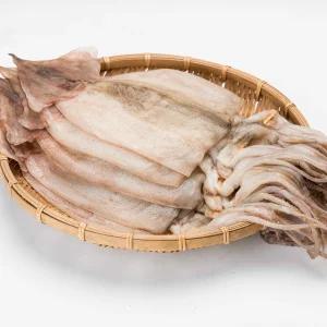 원양산 반건조오징어 피데기 5미 550g 내외 대